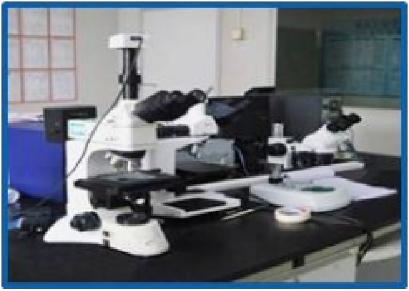 Microsection Analysis